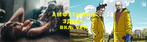 сатива Кодинск